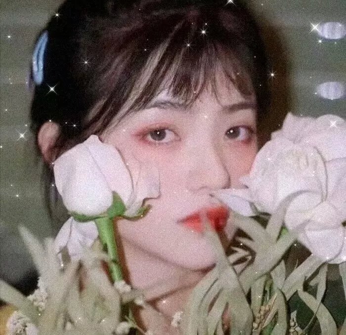 高分推荐